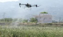 Aydın Büyükşehir'den çiftçiye destek: Bahçeler drone ile gübrelendi