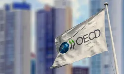 Enflasyon, faiz, işsizlik... | OECD'den iç karartan Türkiye tahmini