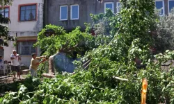 Fethiye'de piton paniği: Mahallede nöbet tuttular