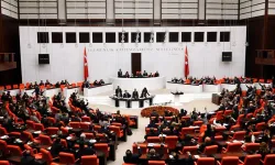 Her güne bir şiddet haberi | İzmirli vekil isyan etti: Meclis’i göreve çağırıyorum