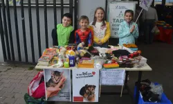 İzmir'de öğrencilerden sokak hayvanlarına destek: Stant açıp satış yaptılar
