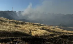 Karşıyaka'da otluk alandaki yangın söndürüldü