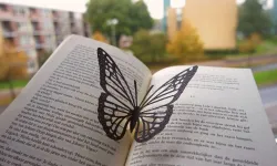 Kitap sayfamızda bu hafta: Belki de yaşadığımız kelebeğin ömrüdür