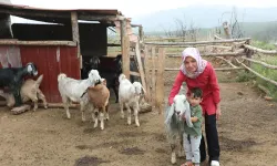 Muğla Büyükşehir'den örnek proje: Kadın üreticiler kazanıyor