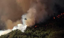 Yangınlar için önlem alınıyor: Muğla'da ormanlara girişler yasaklandı