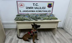 Bornova’da narkotik köpeği Aysar 10 kilo uyuşturucu madde yakaladı