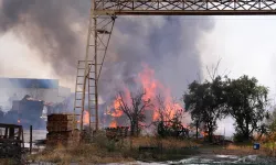 İzmir'de yangın: Hayvan barınağı boşaltıldı
