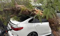 İzmir'de dev ağaç park halindeki aracın üstüne devrildi!