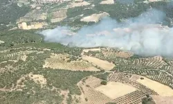 İzmir Bergama’da orman yangını: 4 uçak, 4 helikopter müdahale ediyor