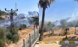 Bodrum'da korku dolu anlar: Trafo patladı, sitelerin bulunduğu alanda yangın çıktı