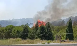 Bornova'da orman yangını: Ekiplerin müdahalesi sürüyor