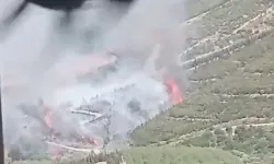 Buca'da orman yangını: Kontrol altına alma çalışmaları sürüyor