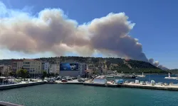 Ciğerlerimiz yanıyor! | Çanakkale'de büyük orman yangını: Boğazda gemi trafiği askıya alındı