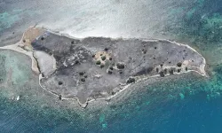 Seferihisar Çiçek Adası alev alev yandı: Çok sayıda hayvan öldü