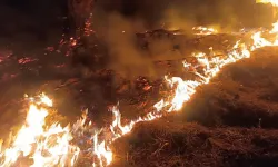 Seferihisar'ın Çiçek Adası'nda yangın
