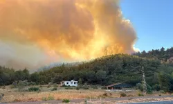 İzmir'in Efes Selçuk İlçesinde orman yangını çıktı