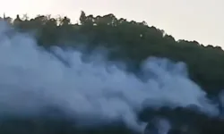 İzmir Bayraklı’da orman yangını kontrol altına alındı