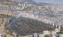İzmir için yürek ferahlatan haber: Dört ilçede çıkan yangınlar kontrol altına alındı