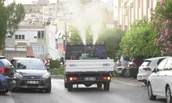 İzmirliler isyan ediyordu: Bir ilçe mahalle mahalle ilaçlandı