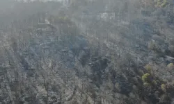 İzmir'de 12 saatlik yangın: Hasarı havadan görüntülendi