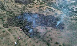 İzmir'de bir yangın daha: Zeytin ağaçları zarar gördü