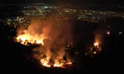 İzmir'de gece yarısı yangını: Zeytinlik alana sıçradı