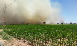 Kabus bitmiyor: Çanakkale'de orman yangını köye ulaştı