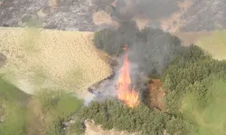 Kula'da orman yangınına müdahale ediliyor: İzmir'den de destek var