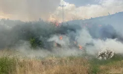 Müdahale sürüyor: Muğla'da başlayan orman yangını Denizli’ye sıçradı
