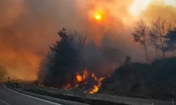 İzmir'de 8'i ormanlık alanda 16 yangın çıktı: 5 ilçede yangın sürüyor