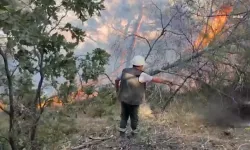 İzmir Orman Bölge Müdürlüğü açıkladı: 6 ayda 45 yangın çıktı