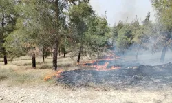 Pamukkale’de orman yangını: Yerleşim alanlarına ilerliyor!