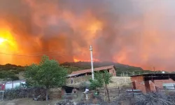 Manisa'da 14 saat süren yangının bilançosu ağır oldu