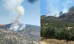 Salihli'de orman yangını: Ekipler müdahale ediyor