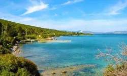 İzmir'de sakin bir deniz keyfi: Şifne Plajı nerede?