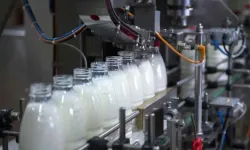 Dev süt markası batıyor: Fabrikası icradan satışa çıktı