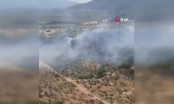 İzmir'de orman yangını: Havadan ve karadan müdahale ile yangın söndürüldü