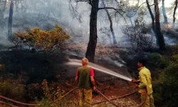 Yaz aylarının kabusundan İzmir de muzdarip: 3 günde 155 yangın çıktı
