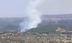 Yazın kabusu başladı: Bergama'da yangın