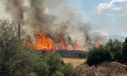 Yunanistan'da yangın: Mora Yarımadası'nda 1 kişi öldü