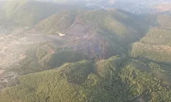 18 saatin ardından: Bodrum'da orman yangını kontrol altına alındı
