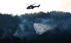23 saat oldu: Bornova'daki orman yangını kontrol altında