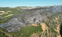 İzmir ekipleri de destek verdi: Manisa'daki orman yangını söndürüldü