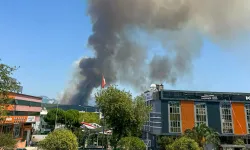 Gaziemir'de ormanlık alanda yangın: Müdahale sürüyor