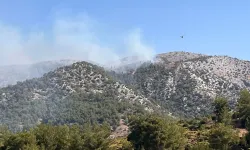 Muğla'nın Milas ilçesinde orman yangını: Ekiplerin müdahalesi sürüyor