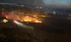 Aliağa'daki orman yangını evlere sıçramadan kontrol altına alındı