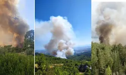 Antalya Serik'te orman yangını