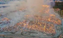 Aydın'da yangın: Gece boyunca devam etti