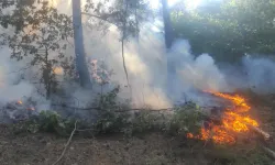 Balıkesir'de yangın: 200 metrekare ormanlık alan zarar gördü