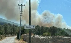Bodrum'da orman yangını: Ekipler müdahale ediyor